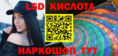 шишки Сланцы