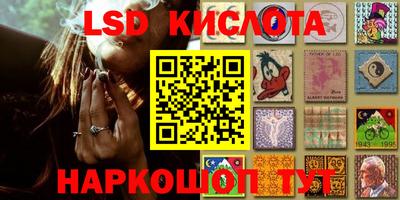 шишки Сланцы