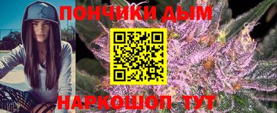 шишки Сланцы