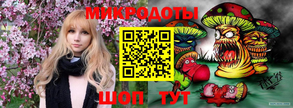 Нерюнгри  Галлюциногенные грибы Psilocybine cubensis  Вход с VPN  Псилоцибиновые грибы прущие грибы 