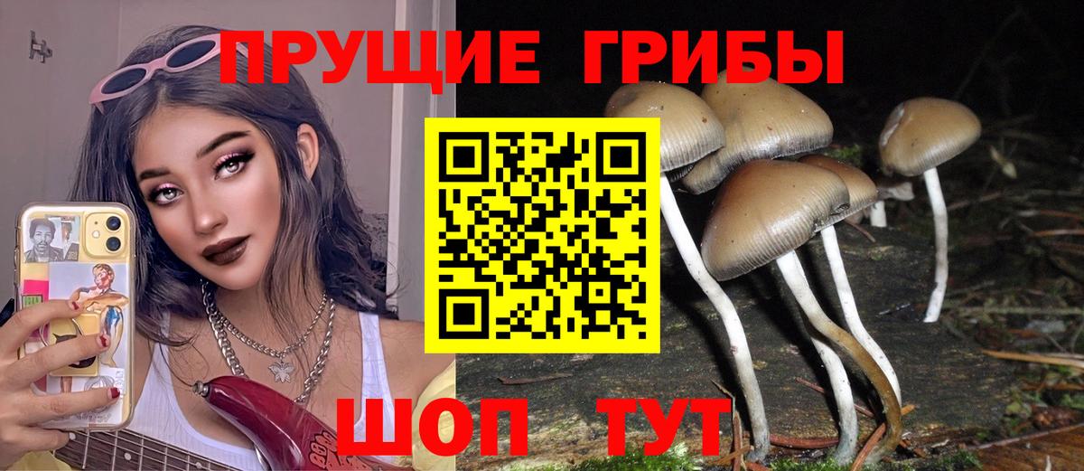 Галлюциногенные грибы мицелий Нерюнгри